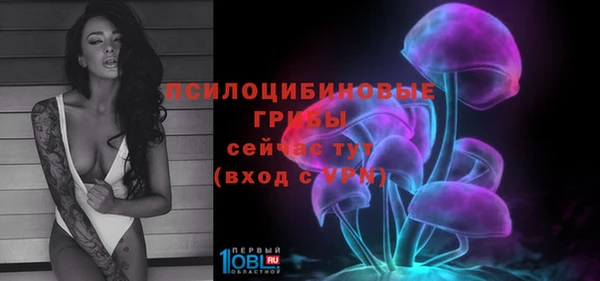 сатива Абаза