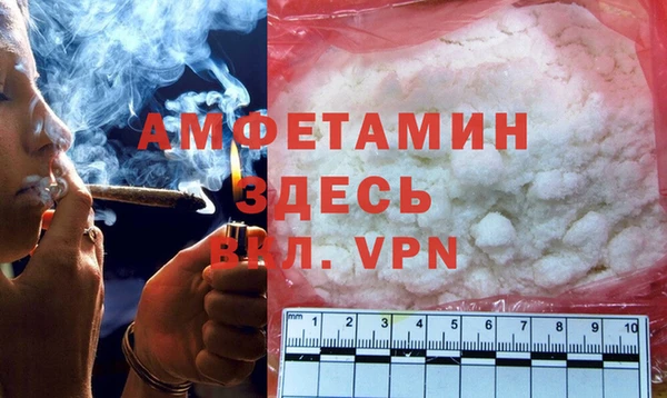 сатива Абаза