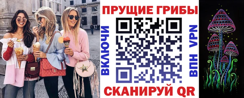 Галлюциногенные грибы Psilocybe  Ефремов 