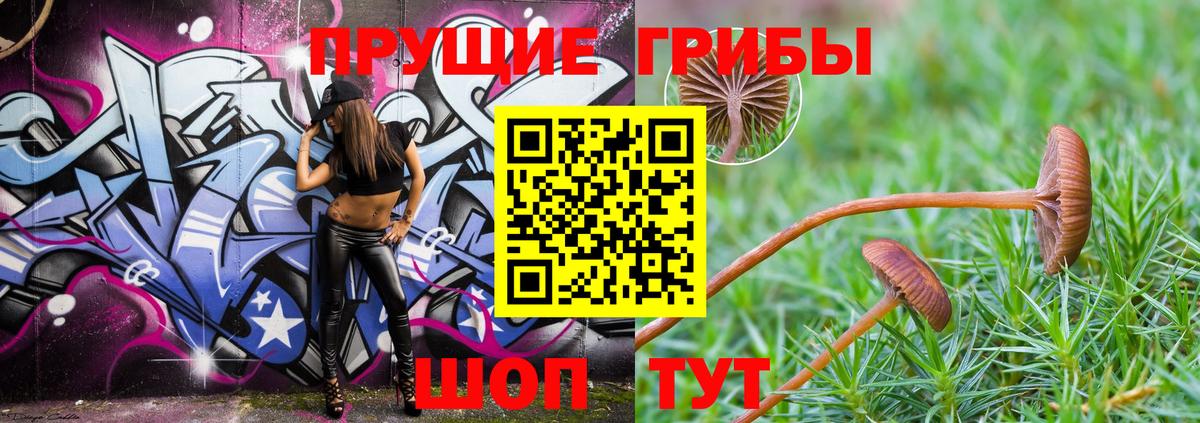 Галлюциногенные грибы Psilocybine cubensis  Вход с VPN  Ефремов 