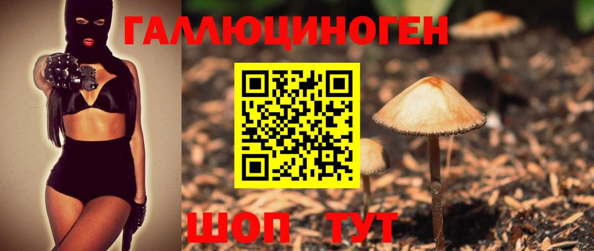 Псилоцибиновые грибы Psilocybe Ефремов